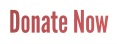 Donate Now Button